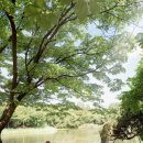 푸른숲스튜디오
