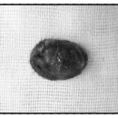 닥터김 동물병원 이미지