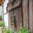 백연지녹색농촌체험휴양마을 | 사계절 즐기는 에코 체험마을 탐방