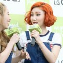 지빠 Daum카페
