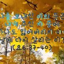 나를 보내신 이의 뜻은 내게 주신 자 중에 내가 하나도 잃어버리지 아니하고 마지막 날에 다시 살리는 이것이니라 이미지