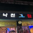 김낙천참치