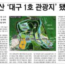 비슬산관광지 이미지