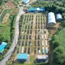 인양양초장 이미지