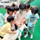 성균관어린이집 이미지