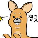 (주)더위트 이미지