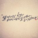 파이진 명품피부