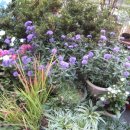 범계동주민센터 이미지