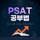 밤도리PSAT | PSAT 합격후기 기반 공부법, 점수 오른 이유는 따로 있었다