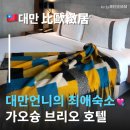 티엔디엔 | 가오슝 브리오호텔 Brio hotel 호텔 여행중국어 가오슝호텔추천 시내와 가까운 대만가오슝호텔