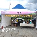 청춘콘서트 | 2025 영천시 청년의 날 &amp; 청춘콘서트 「청년 재충전 페스타」 참여 후기