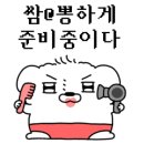 미르당 이미지