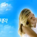 진양제약(주) 이미지