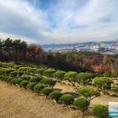 영원목장 이미지