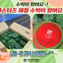 제철태권도 이미지