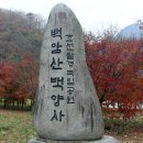 제149차/장성+논산여행(2024.11.21) 이미지