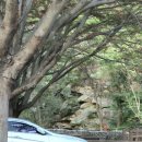 용현계곡입구 주차장 이미지