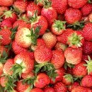 영석축사 이미지