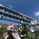 평리어린이공원 공중화장실 이미지