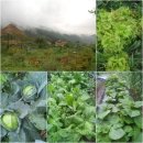 무성농장 이미지