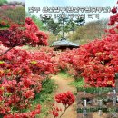 완산-122 이미지