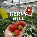 가나안농장2 | 당진 아이와 가볼만한곳! 베리힐 딸기 농장 체험 후기
