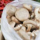 선경상회 이미지