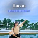 비비체 풀빌라 | 충남 태안 숙소 청포대 ‘비비체 풀빌라’ 내돈내산 후기 🫢