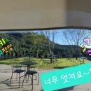 카페디더블유 네이버블로그