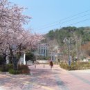 욕지면사무소 이미지