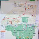 앞산 맛둘레길 경관 이미지