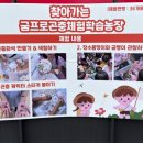 [양평 실내동물원] 굼프로곤충체험학습농장 양평 아이와 함께 곤충·동물 먹이주기 체험 솔직 후기