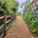 아지트 풀빌라 민박 이미지