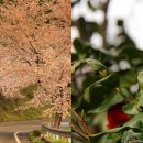 신비의바닷길민박 이미지