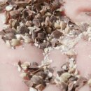 토종농산 이미지