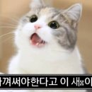 퍼플그레이 이미지
