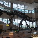 서대문자연사박물관 이미지