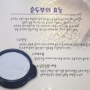 현미순두부 두부명가 이미지