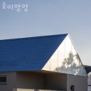 호미양양 이미지