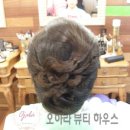 오하라뷰티