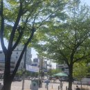 환상의성 | 25년 4월 55회 영화 토론 모임 공감 후기 (환상의 빛, 어느가족)