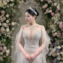 벨라 모먼트 이미지