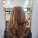 코코헤어 이미지