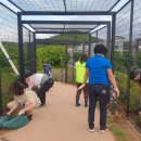 철쭉동산 이미지