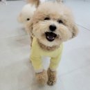 석촌유치원 이미지