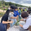 구로-구로-구로-26 이미지