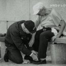 남해창선노인전문요양원 네이버블로그