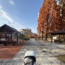 청주서원도서관 | 분평동 서원도서관 영유아실 10개월 아기랑 방문 후기