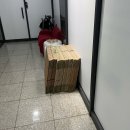 뉴행복다방 | 2026 해피하고 뉴 이어입니다. 1️⃣월 일상 모음. zip