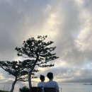 네르하펜션 | 강화도 펜션 추천 네르하펜션 내돈내산 후기 (라르고빌 리조트 옆)